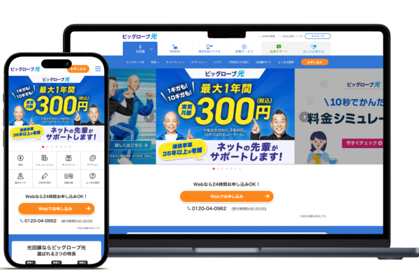 ビッグローブ光