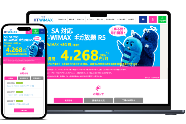 KT WiMAX