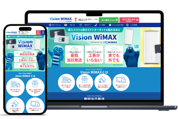 Vision WiMAX