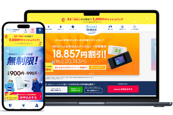 broadWiMAX