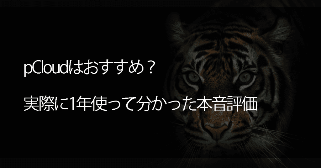 pCloudはおすすめ？実際に1年使って分かった本音評価